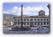 Parque do Municipo in Funchal