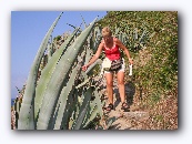 Elba :kleine wandeling