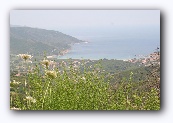 Elba :Procchio