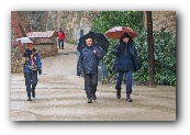 Parc Guell