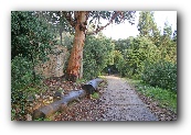 Parc de Collserolla