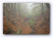 Wandeling naar Cochem en terug