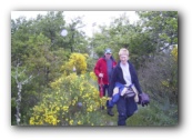 Wandeling vrijdag 17 km tussen de Brem