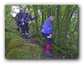 Wandeling vrijdag 17 km