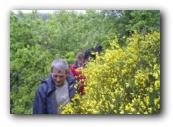 Wandeling vrijdagnamiddag naar de camping 4 km