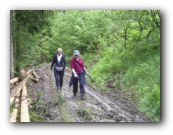 Wandeling zaterdag naar Lellingen 18 km