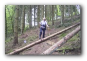 Over juist gekapte bomen