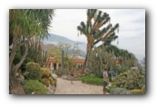 Monaco  botanische tuin