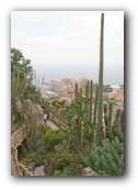 Monaco  botanische tuin