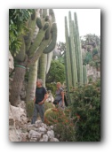 Monaco  botanische tuin